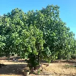 Casa Bordolese بيت للعطل