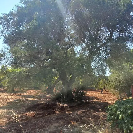 Casa Bordolese Villa Castelli