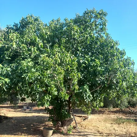Casa Bordolese Hébergement de vacances