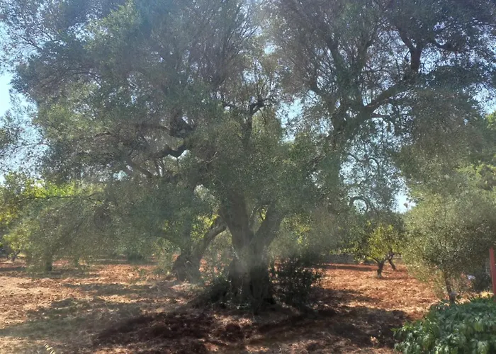 Casa Bordolese 빌라 카스텔리