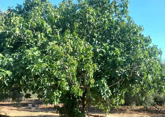 Casa Bordolese 펜션